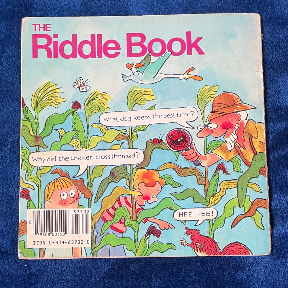 The Riddle Book with Colorful Illustrations - Picture 2 of 6
